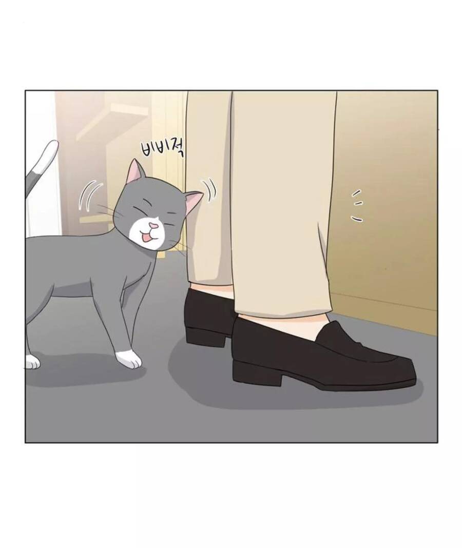 idol và sếp, em yêu ai? chapter 22 8