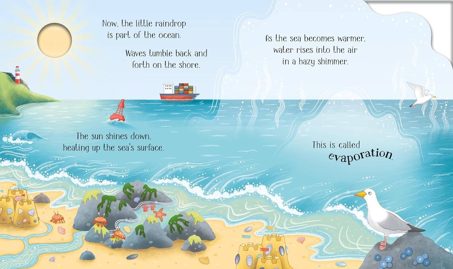 Sách ngoại văn: One Little Raindrop