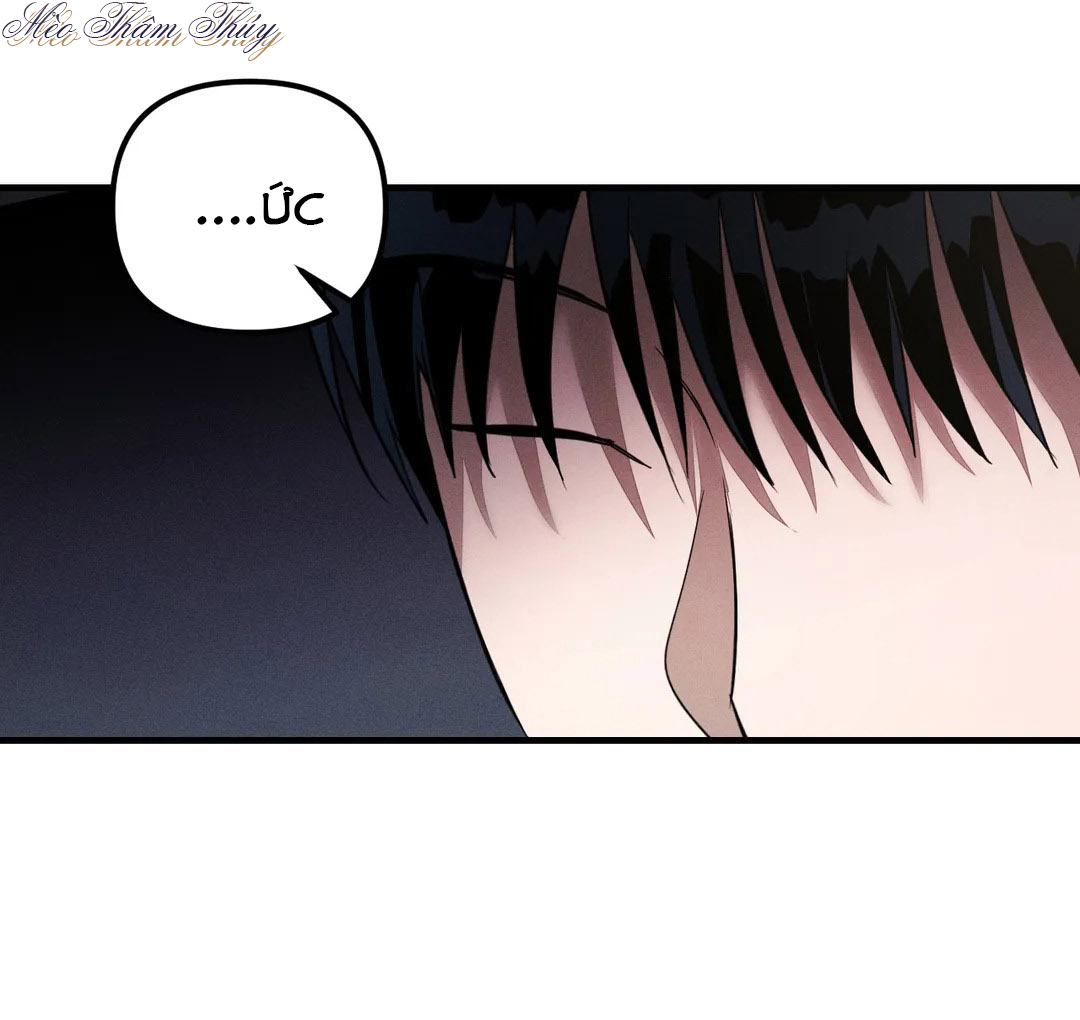 huấn luyện thú cưng chapter 3 4