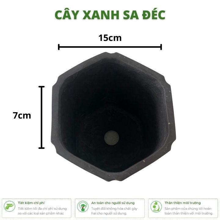 Chậu lục giác cao xẻ cạnh mini CK17 màu trơn sang trọng và tối giản