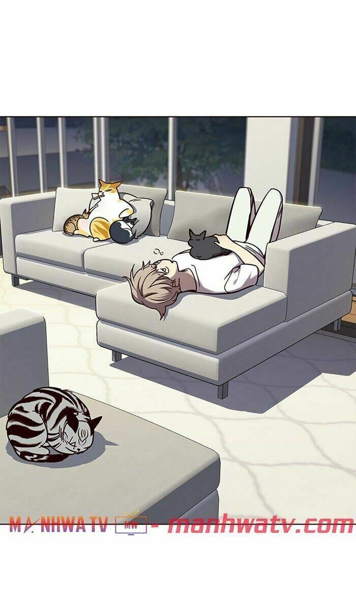 biến thân thành mèo chapter 61 68