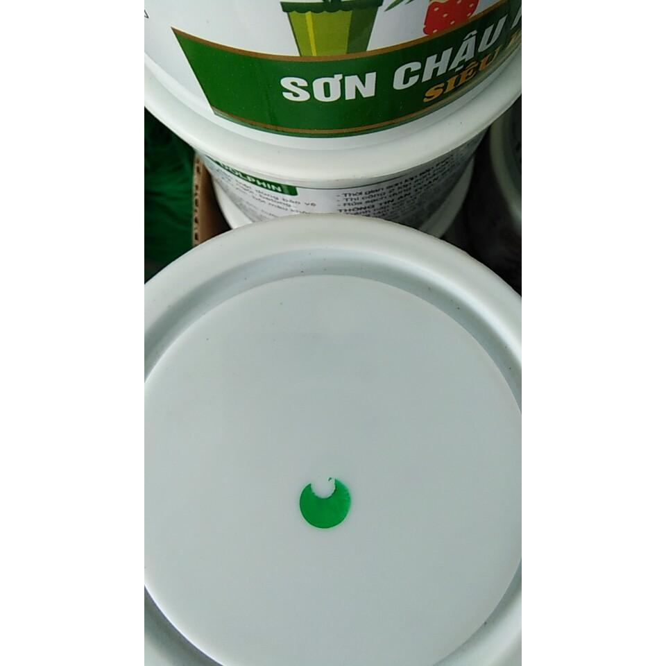 Sơn chậu kiểng hệ nước màu xanh ngọc bích 1kg tặng cọ