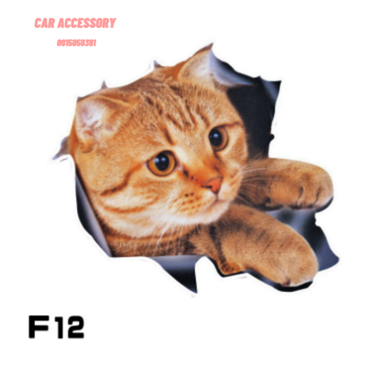 Miếng dán 3D ba chiều pug dán xe vui nhộn mèo con dễ thương đầu sói nhãn dán xe sáng tạo che viết xước tạo cá tính