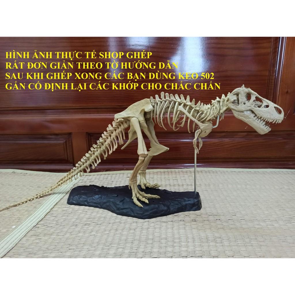 MÔ HÌNH BỘ XƯƠNG KHỦNG LONG - MÔ HÌNH TRANG TRÍ HỒ CÁ