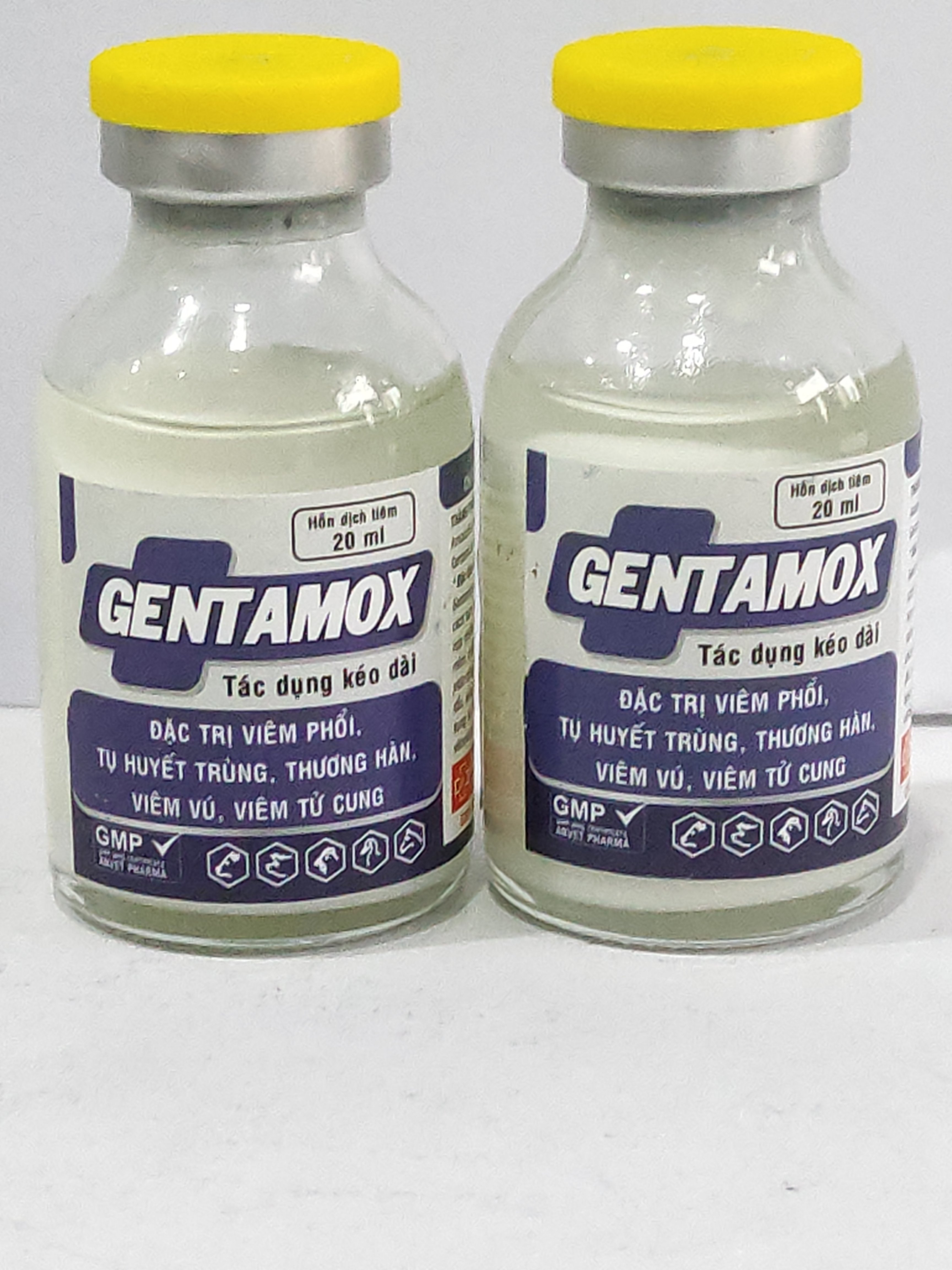 GENTAMOX 20ML hỗn dịch tiêm đặc trị viêm phổi, tụ huyết trùng, thương hàn, viêm vú, viêm tử cung