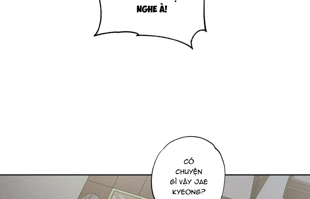 chàng giao pizza và gold palace chapter 16 102