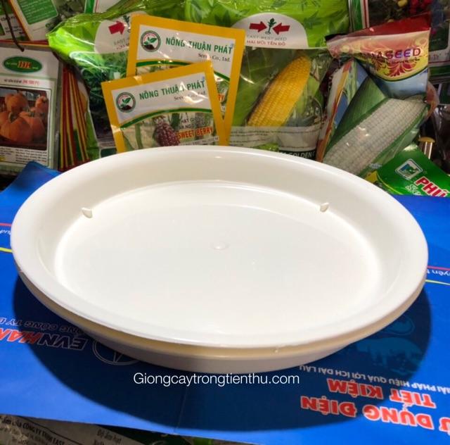 ĐĨA LÓT CHẬU CÂY CẢNH PHI 35
