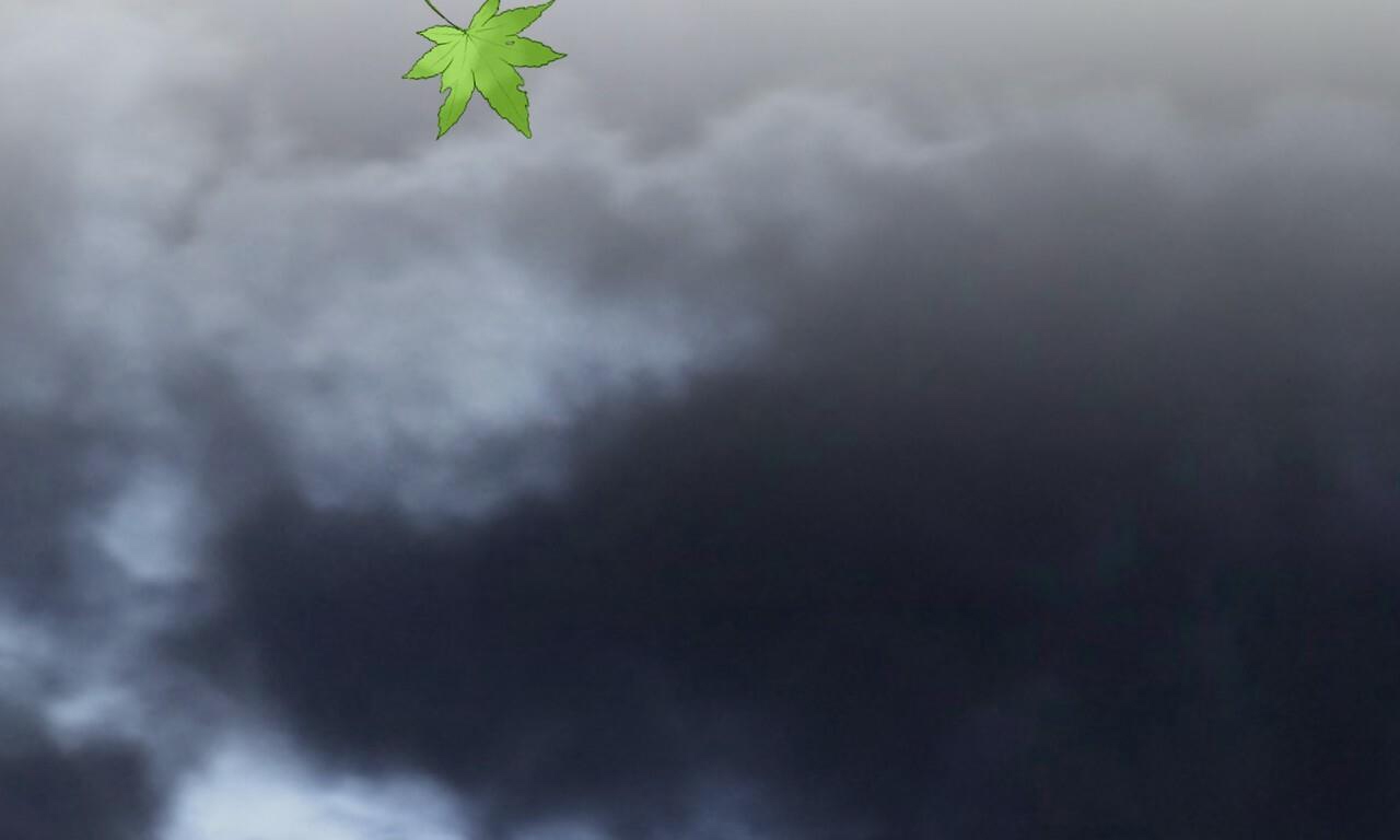 đàn thỏ của habibi chapter 55 19