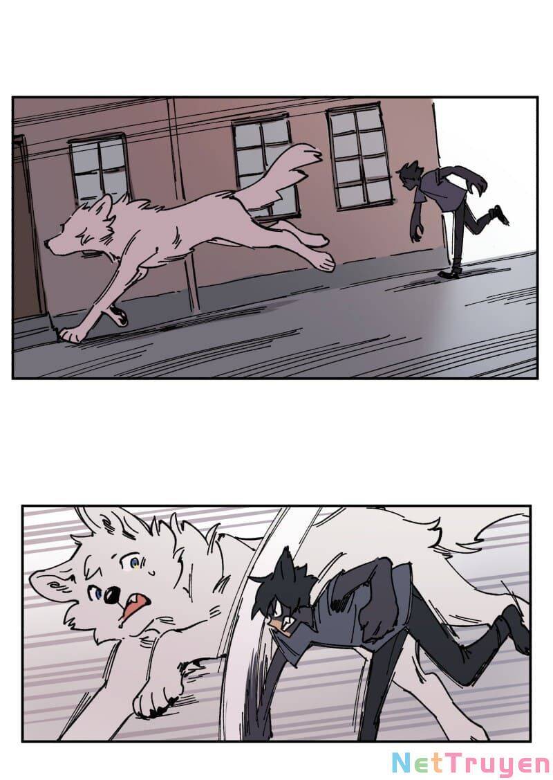 lumine - cội nguồn ánh sáng chapter 91 37