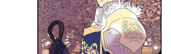 công chúa của loài chim chapter 49.1 648