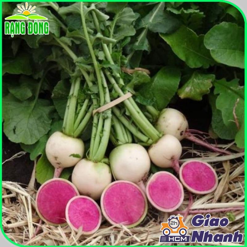 Hạt giống Củ Cải Ruột Hồng Dễ Trồng, Sinh Trưởng Khỏe - Hạt Giống Rạng Đông