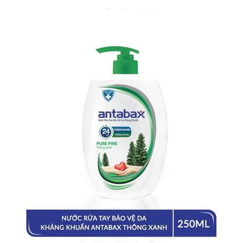 Combo 2 Nước Rửa Tay Bảo Vệ Da Kháng Khuẩn Antabax Pure Pine Thông Xanh 250ml