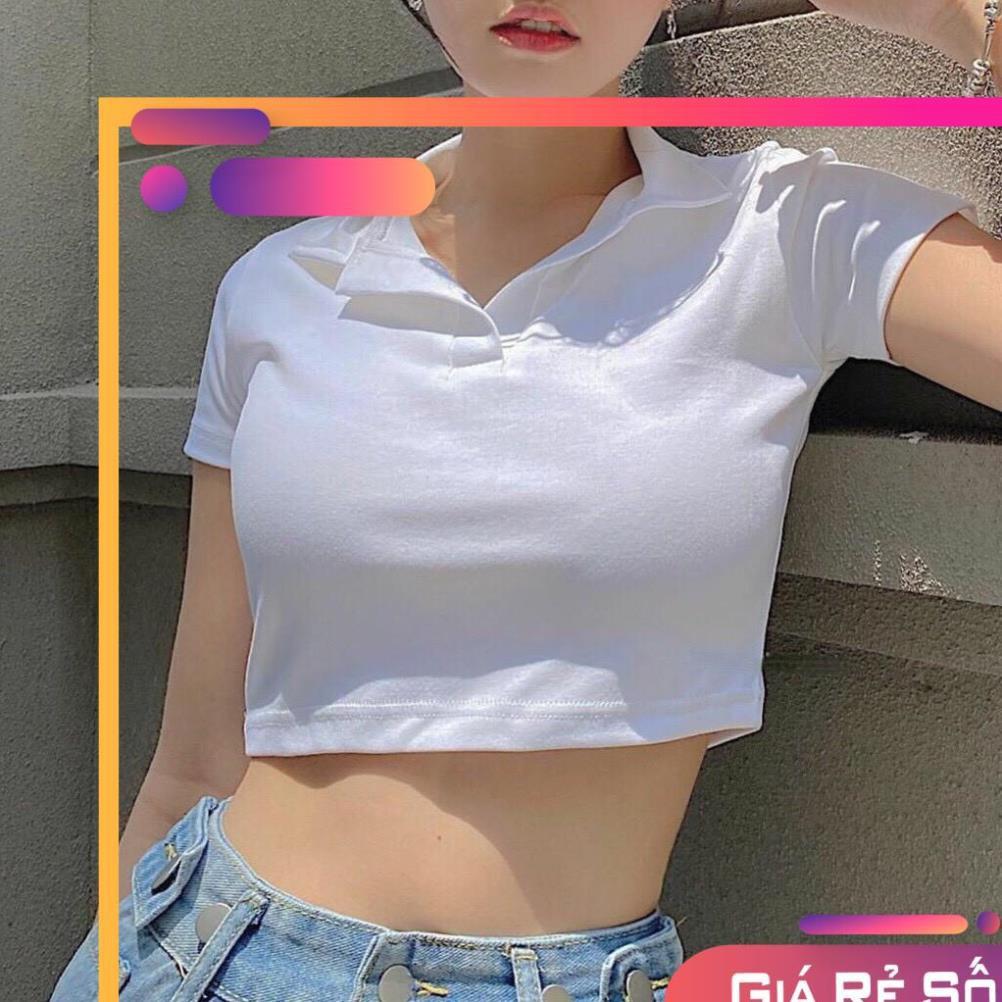 Áo Croptop POLO Nữ vải mịn