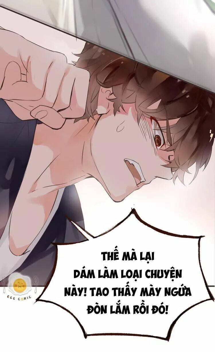 nở rộ trên bụi gai chapter 38 9