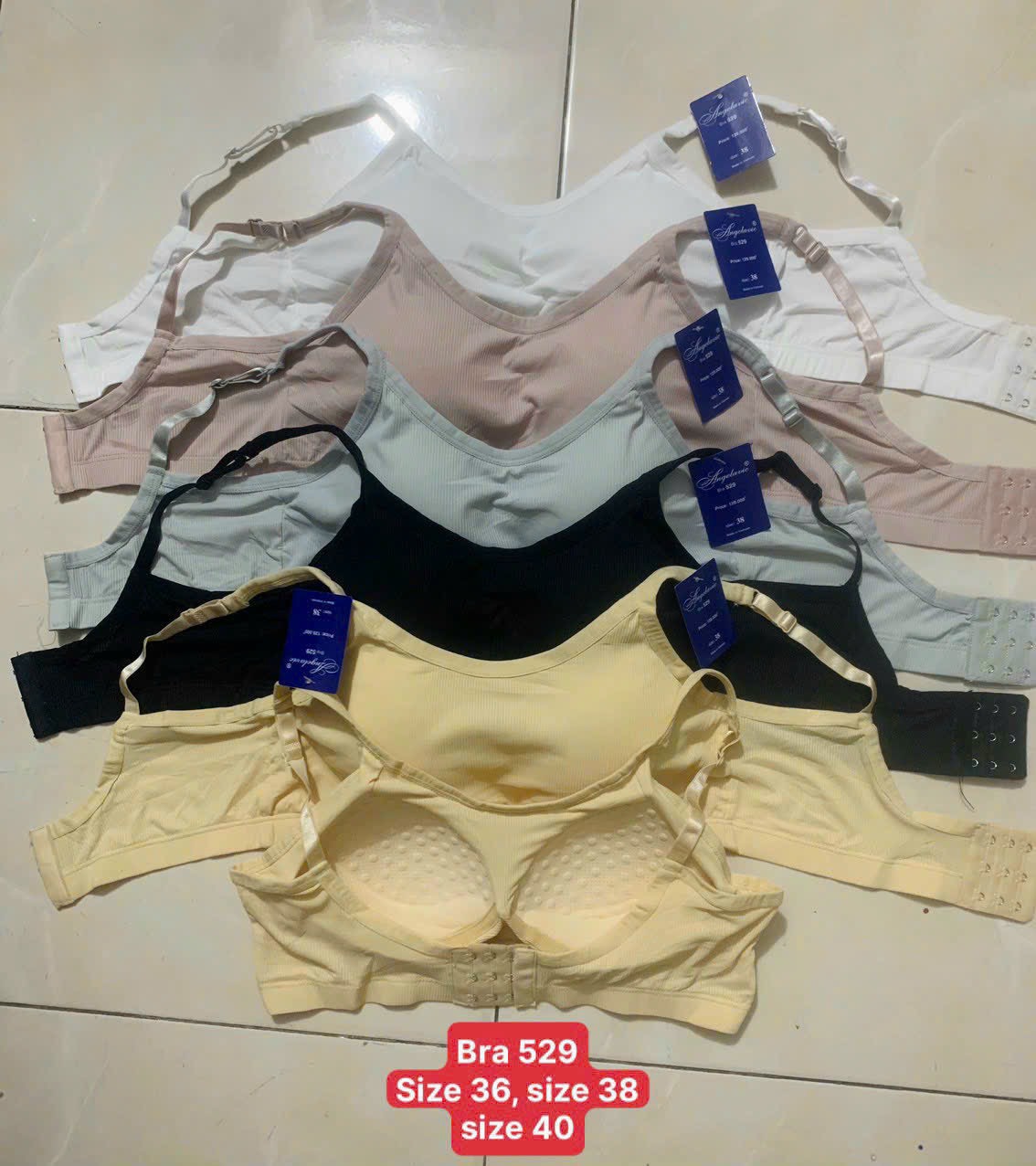 Áo lót nữ Angelavic 529 – Bra thun lạnh tăm, mút liền, cài sau, không gọng, nâng đỡ thoải mái