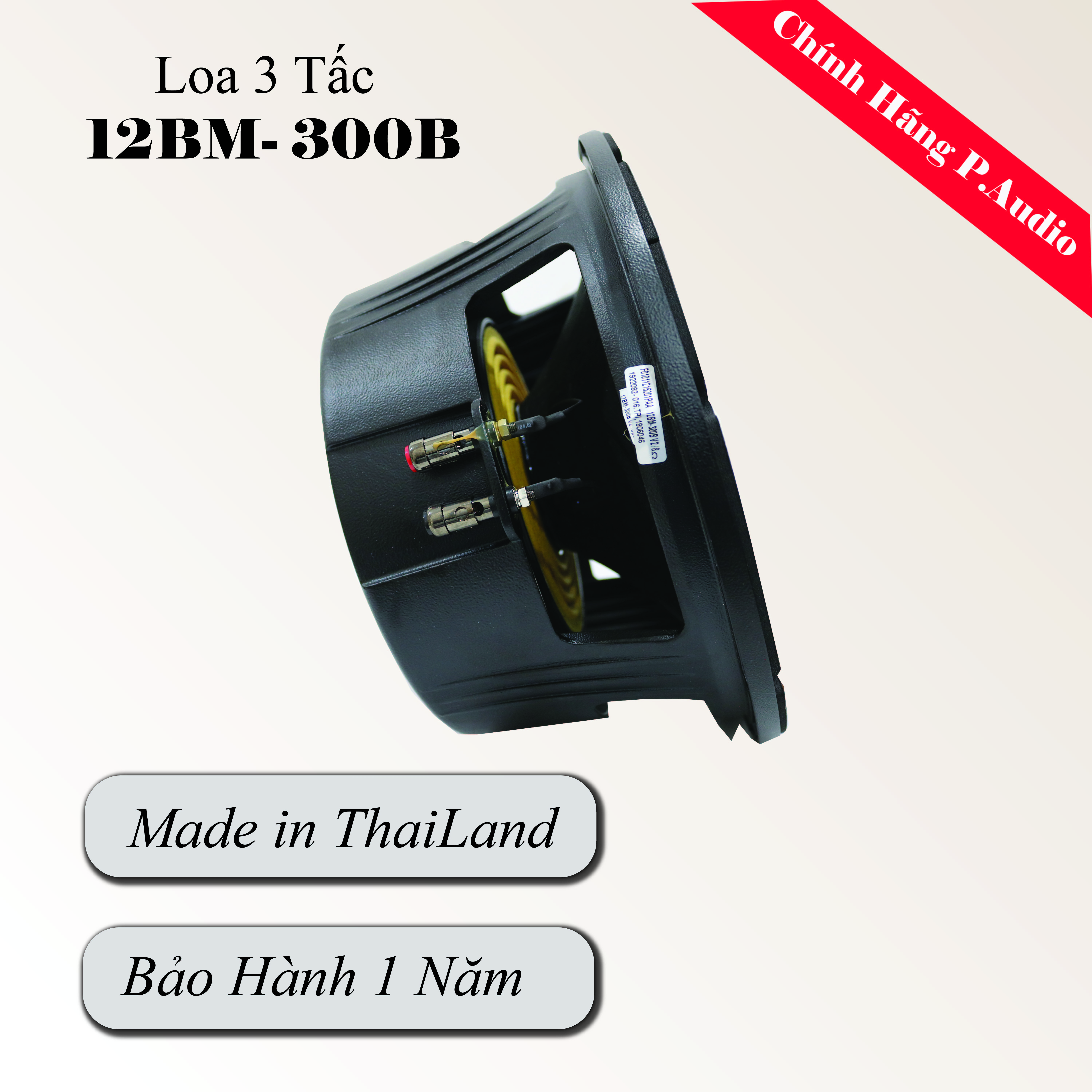 Loa Đơn P.Audio 12BM -300B Ba Tấc - Hàng Chính Hãng