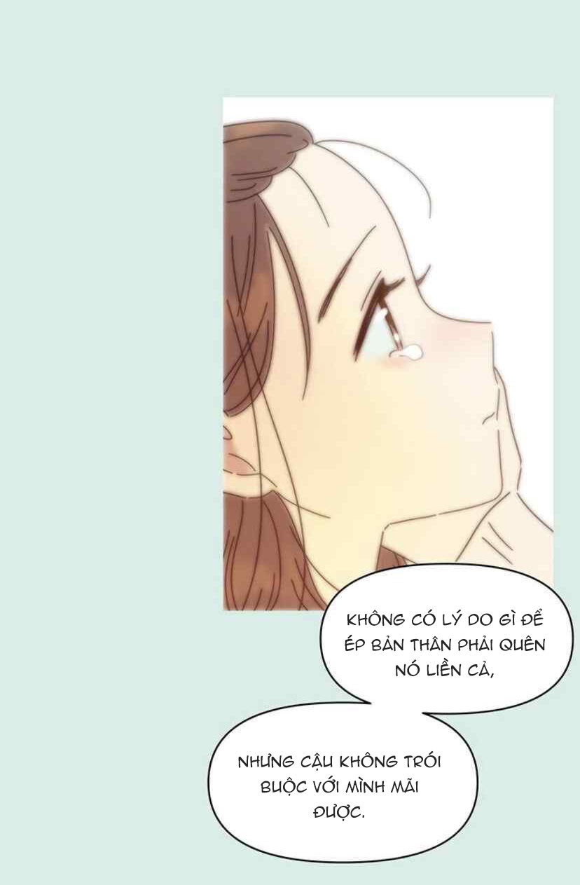 thanh xuân rực rỡ - season of blossom chapter 58 78