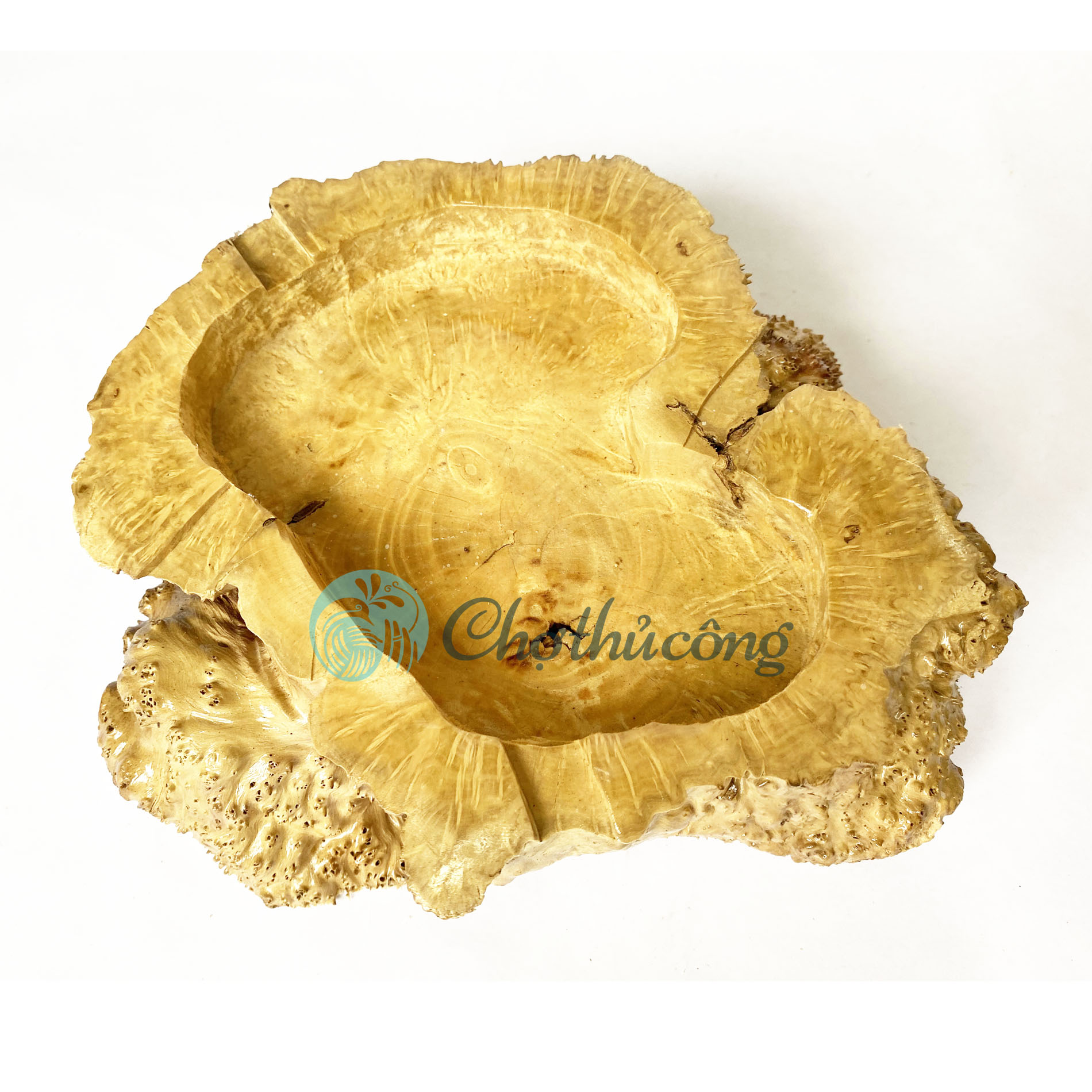 Đồ gạt tàn độc lạ cute bằng gỗ nu tự nhiên dùng đựng tàn, gạc tàn vintage (phát mẫu ngẫu nhiên)