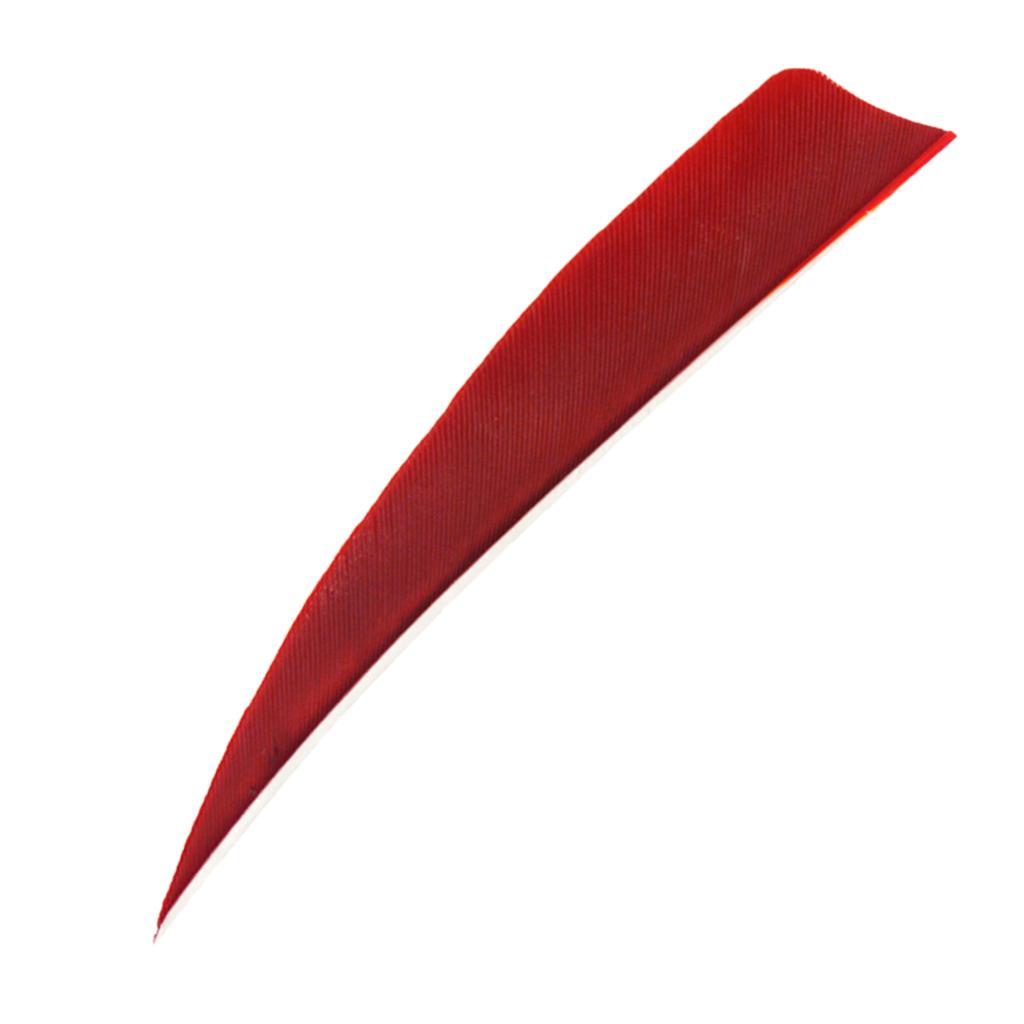 2-6pack 12 Pieces 4 Inch Archery Arrow Feathers Fletchings Vanes Red