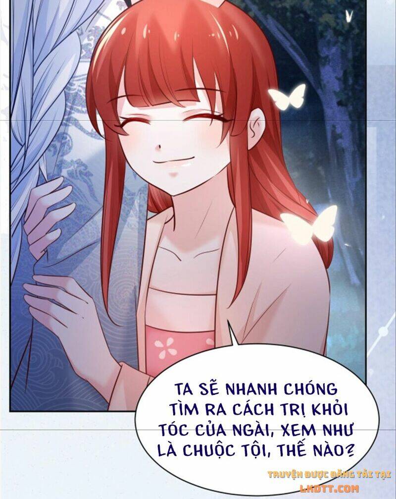 hắc hóa nam chính trực tuyến nuôi thỏ chapter 46 27