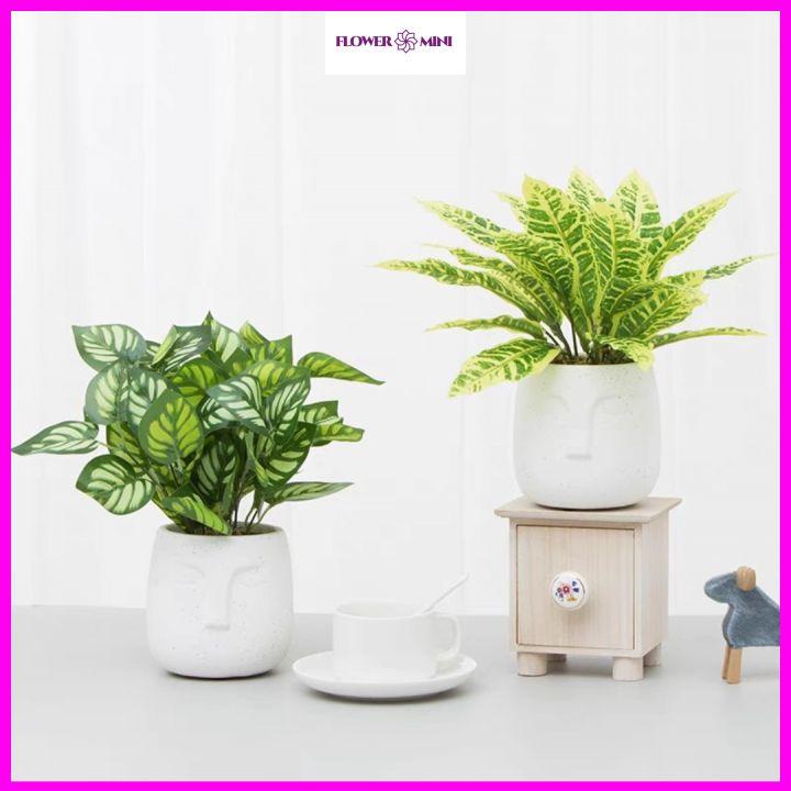 Chậu cây giả để bàn học, bàn làm việc, kệ tủ decor trang trí nhà cửa, văn phòng công ty, nhà hàng xanh mát CG-01