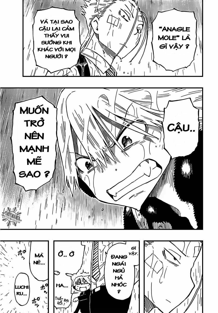 anagle mole chapter 8 14