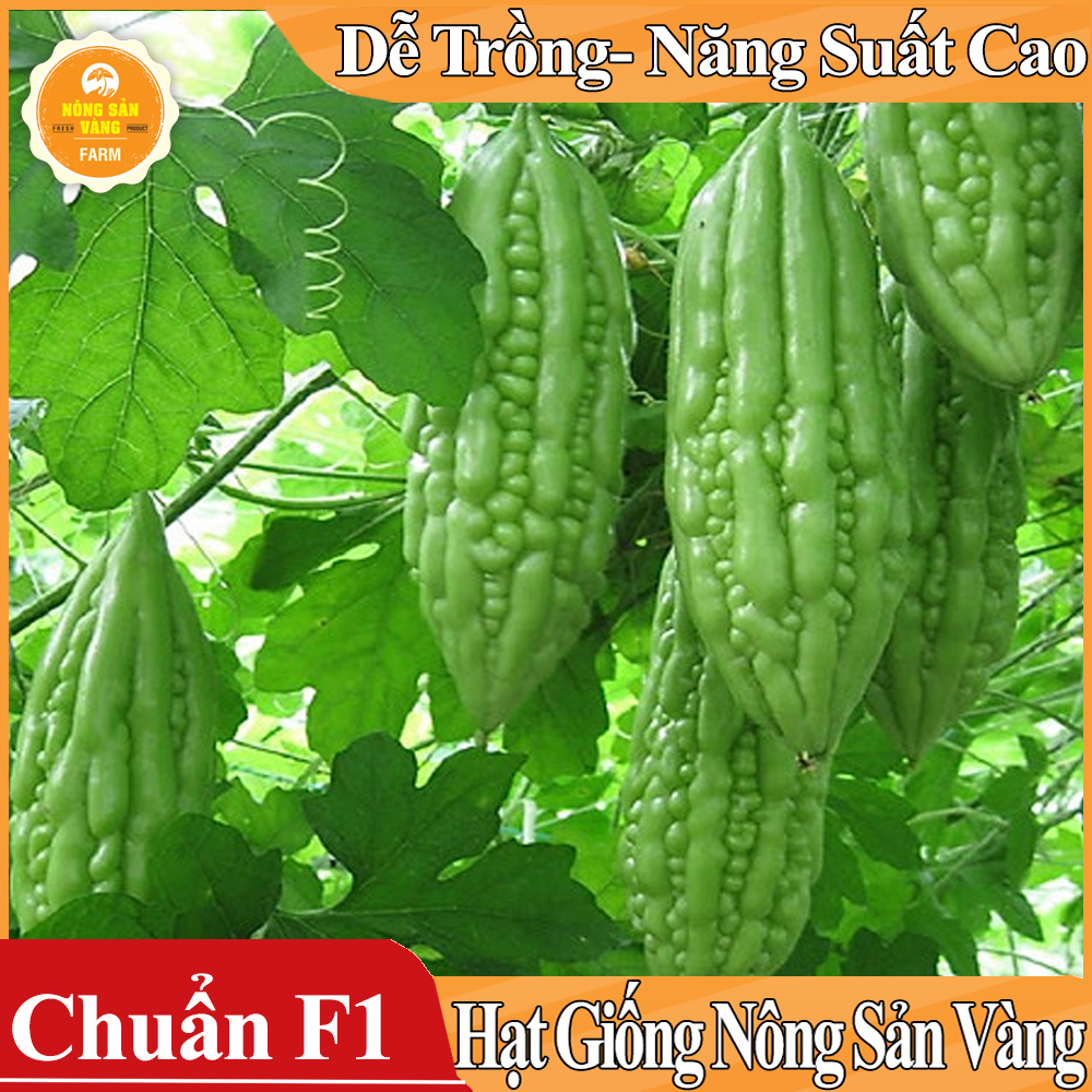 Hạt giống Khổ Qua F1 - Nông Sản Vàng