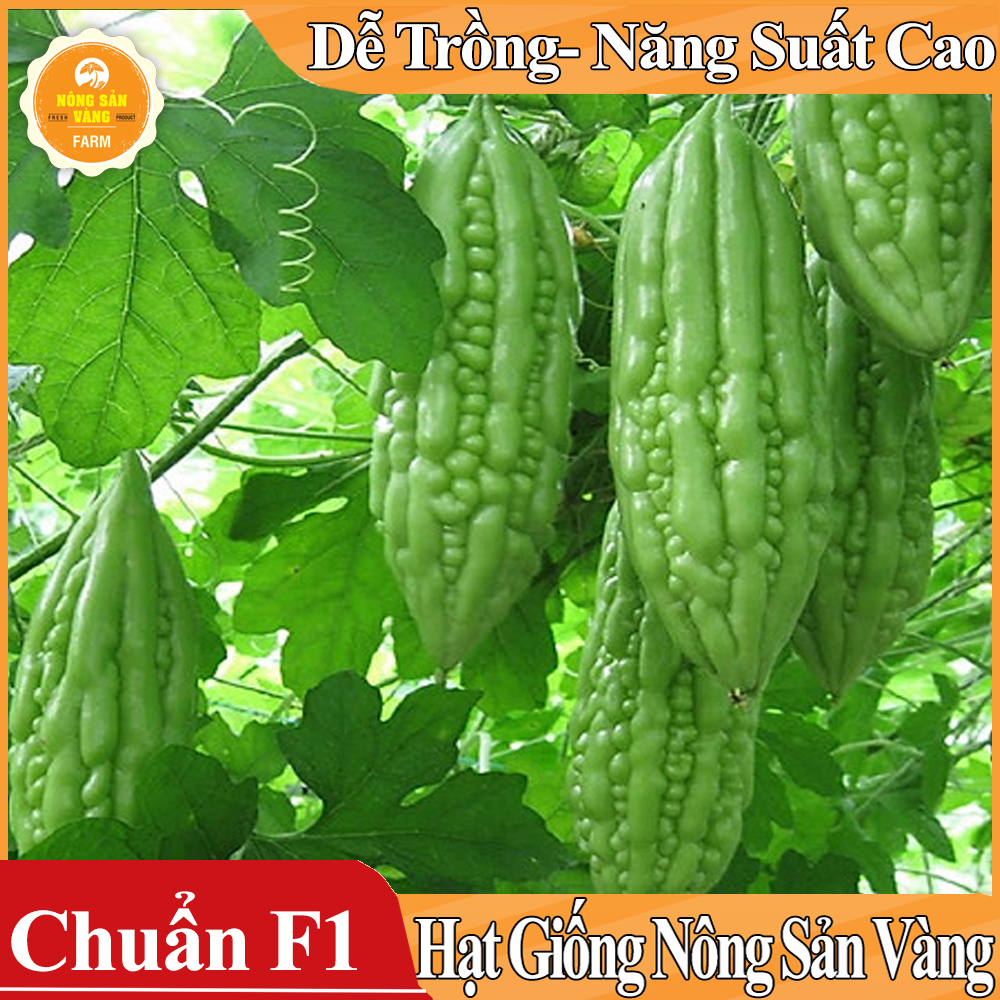 Hạt giống Khổ Qua F1 ( Gói 10 Hạt ) - Nông Sản Vàng