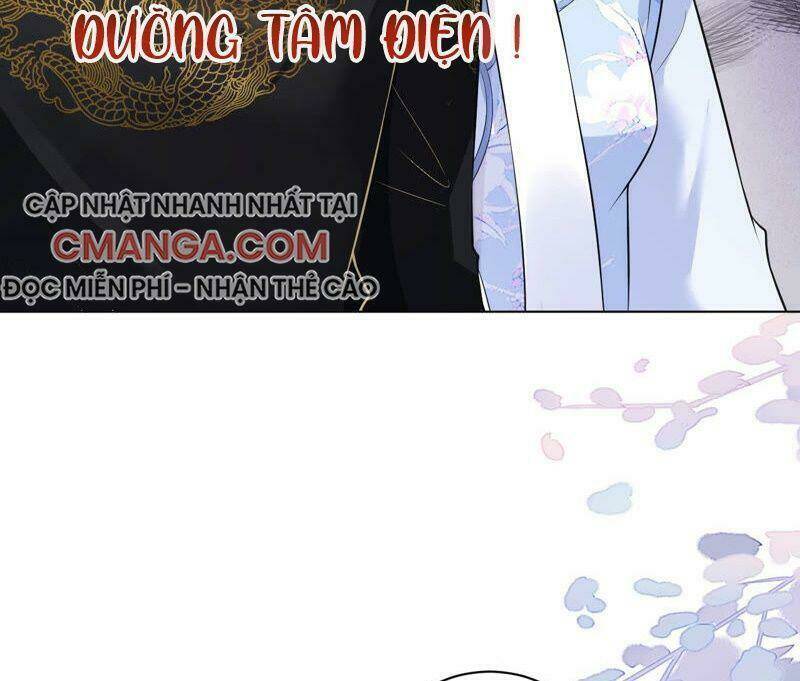 quận chúa vững vàng, thiết lập nhân vật không thể vỡ chapter 44 56