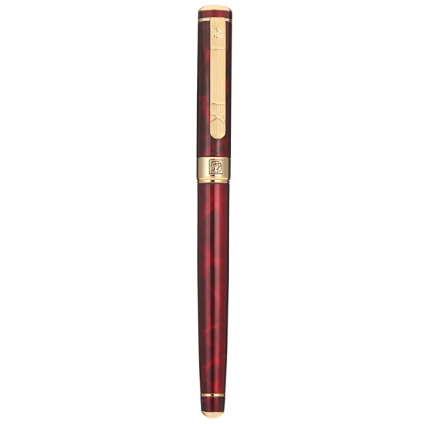 Bút Máy Picasso PS-902