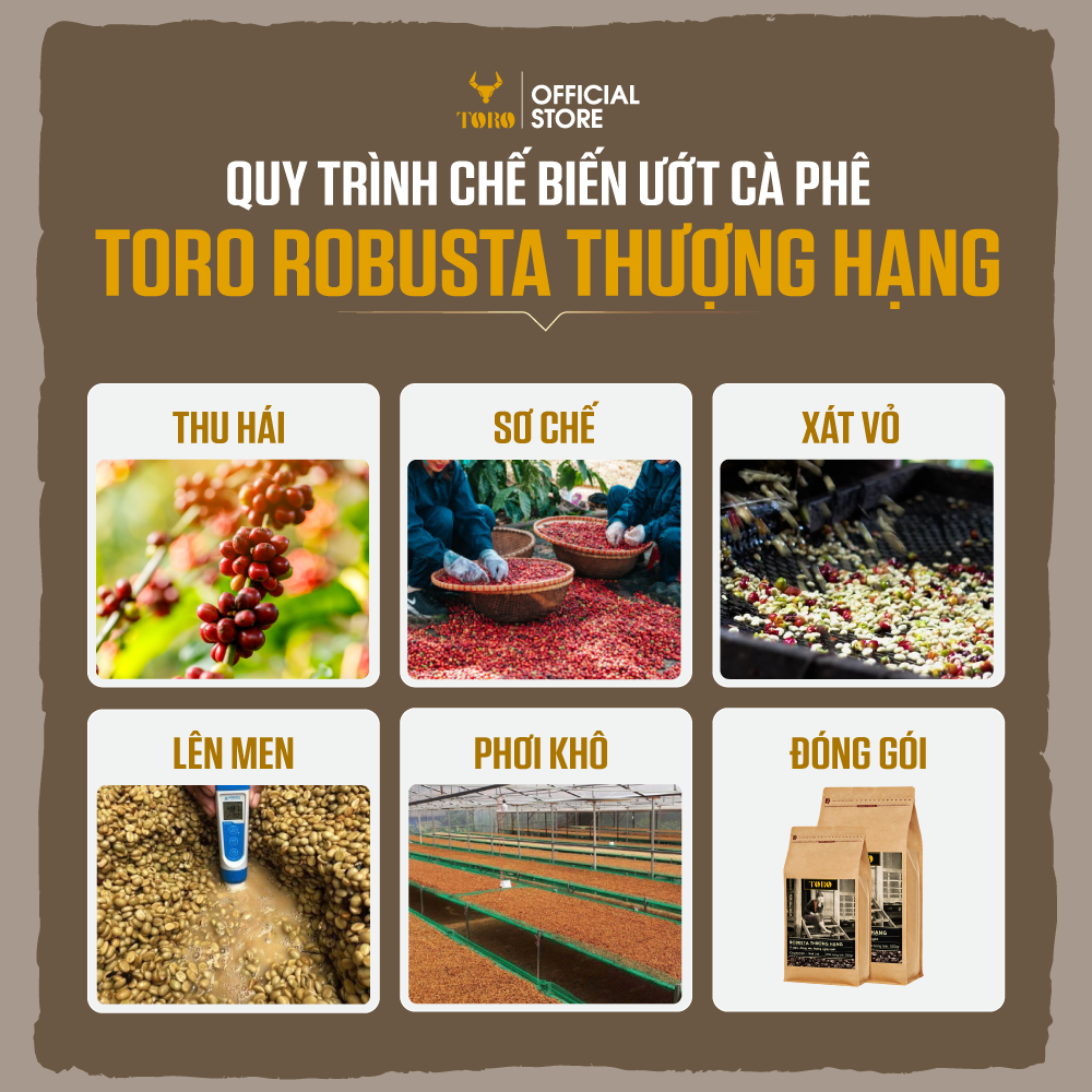 Cà Phê Hạt Toro Robusta Thượng Hạng Nguyên Chất 100% | TORO FARM