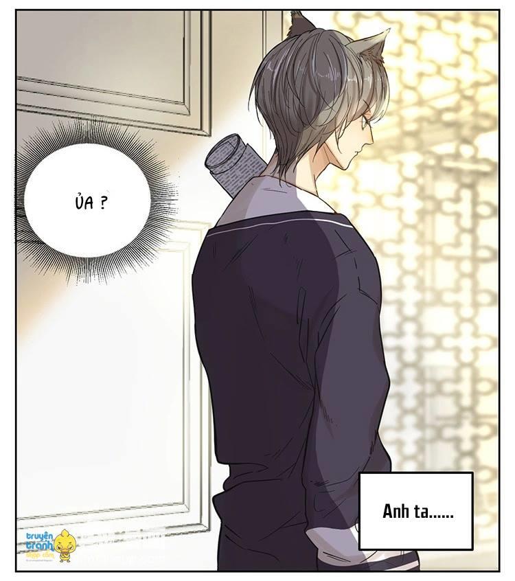 cứu mạng ! loài mèo thống trị thế giới rồi ! chapter 12 18