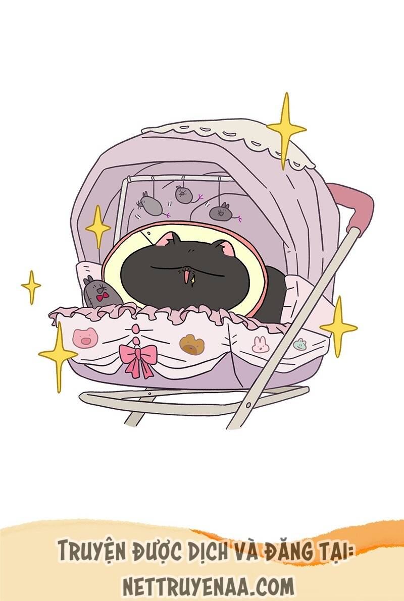 a mãn và mạch trà chapter 21 7