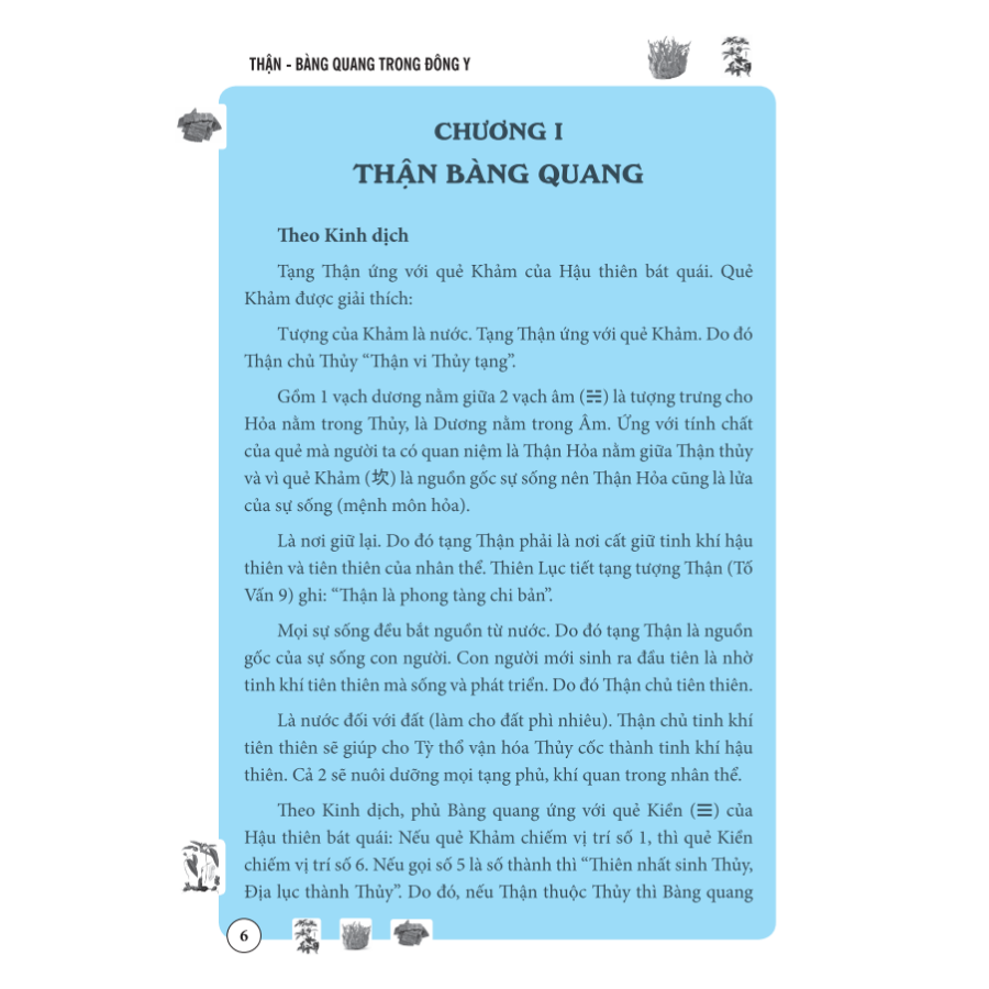 Thận Bàng Quang Trong Đông Y (Bìa mềm)