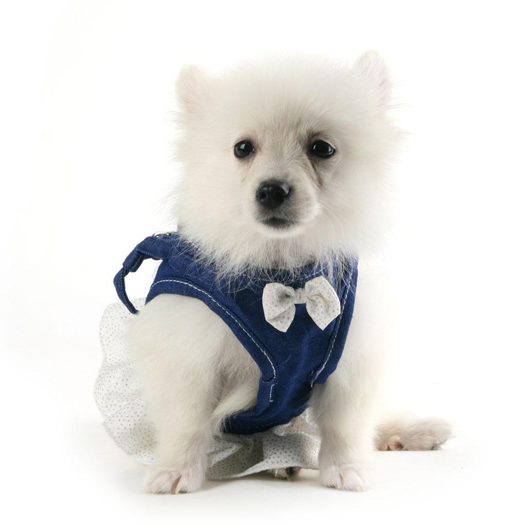 Pet Dog Harness Leash Pet Costume Clothes for Small Pet Cat Puppy