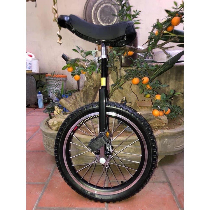 Xe đạp 1 bánh - Unicycle