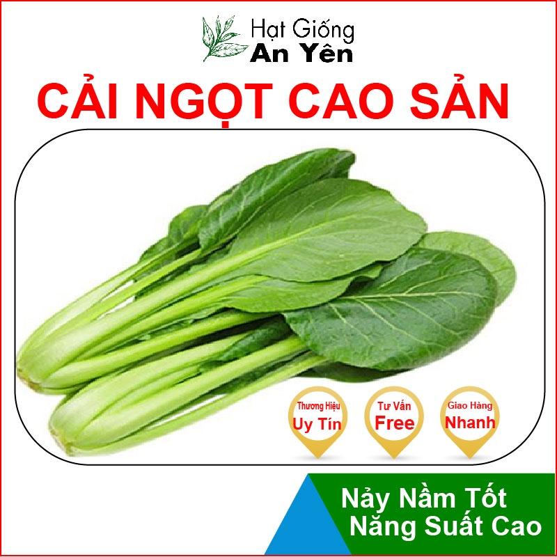 Hạt giống Cải Ngọt cao sản, nhanh thu hoạch, dễ trồng, nảy mầm và năng suất cao