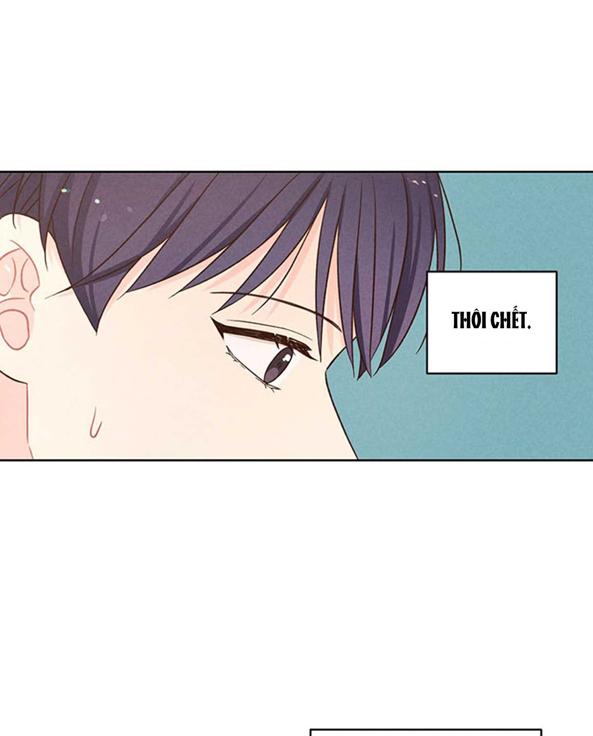 shallow focus chapter 8 81