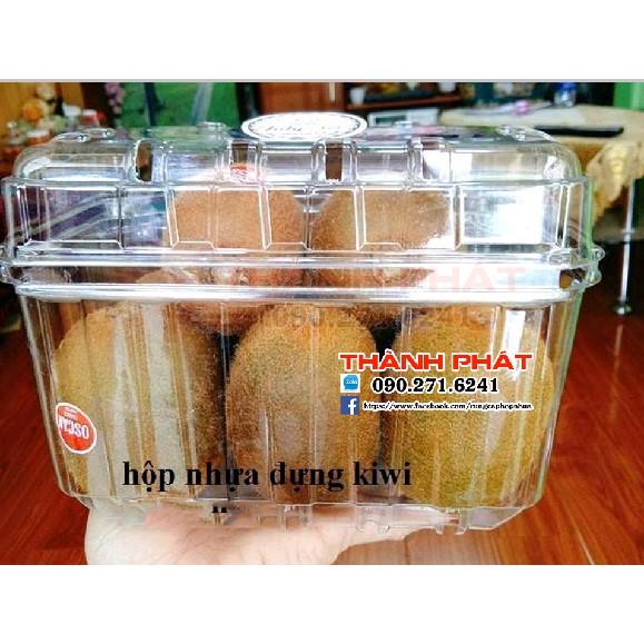 50 Hộp nhựa P1000B đựng trái cây, cherry, nho - hộp đựng trái cây 50 cái