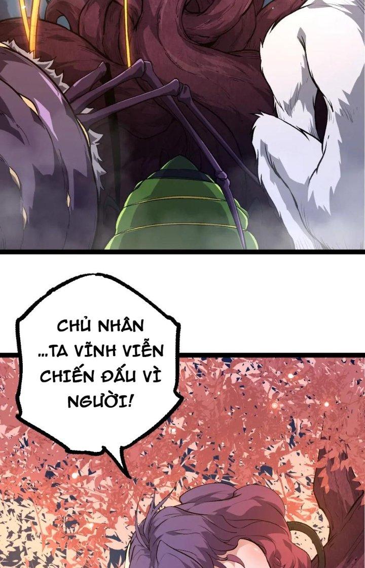 từ cây cổ thụ bắt đầu tiến hóa chapter 72 5