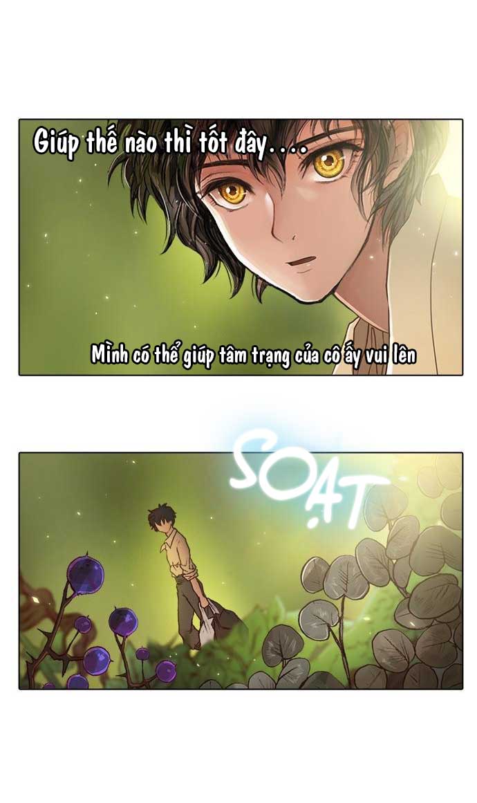 tôi chính là nhà sưu tập chim chapter 12 29