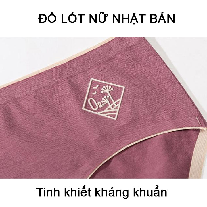 Combo 2 quần lót nữ Nhật Bản cotton tinh khiết kháng khuẩn thoải mái khi mặc