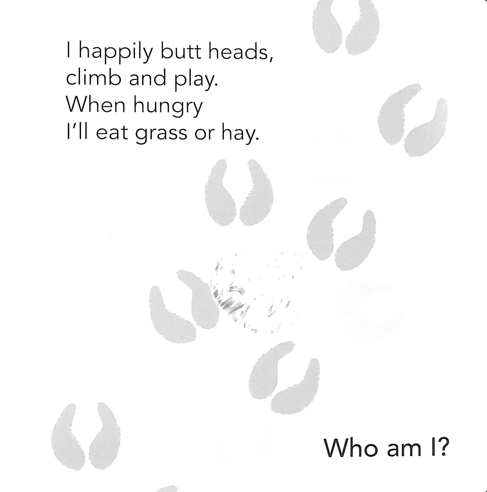 Who Am I? Touch &amp; Feel Flap Book: Farm Animals