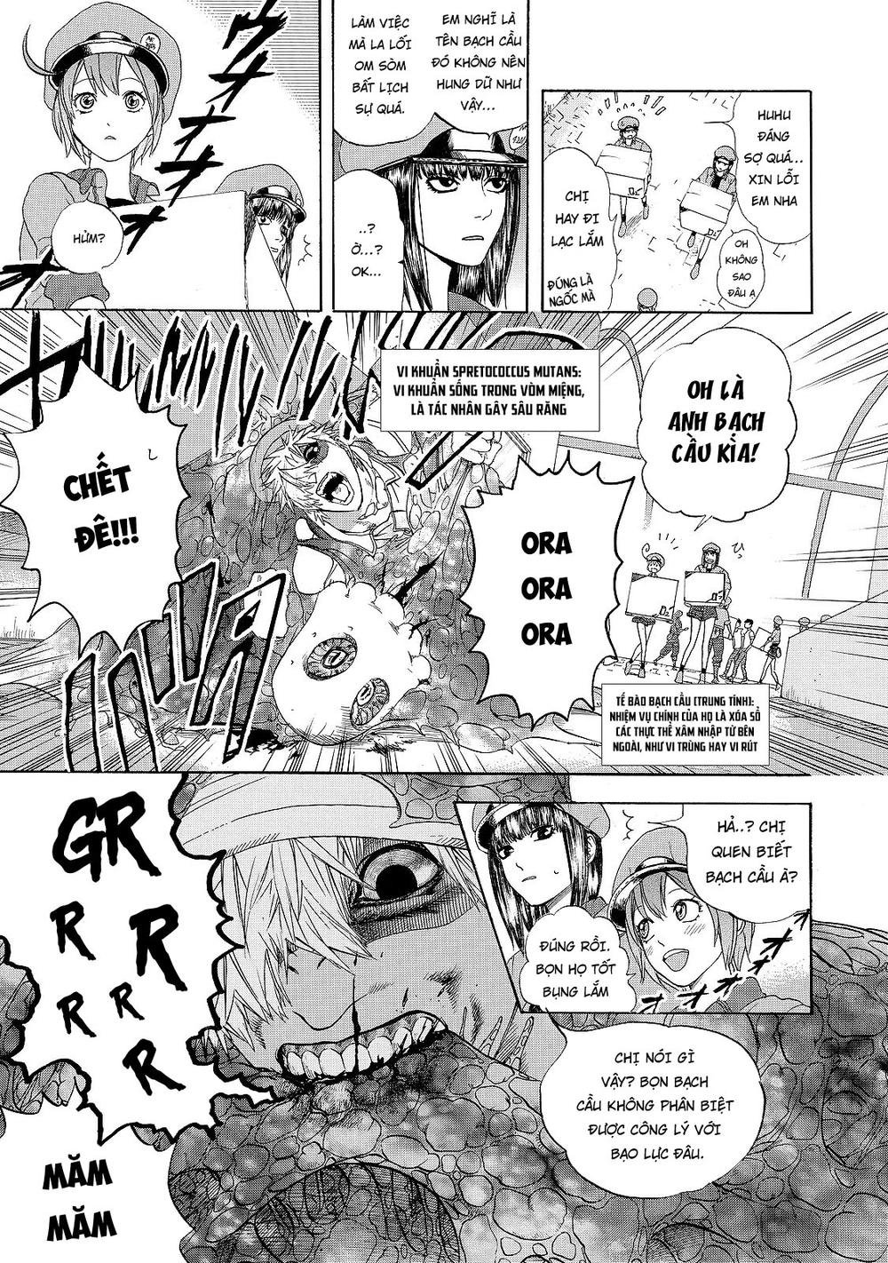 hataraku saibou! chapter 17 7