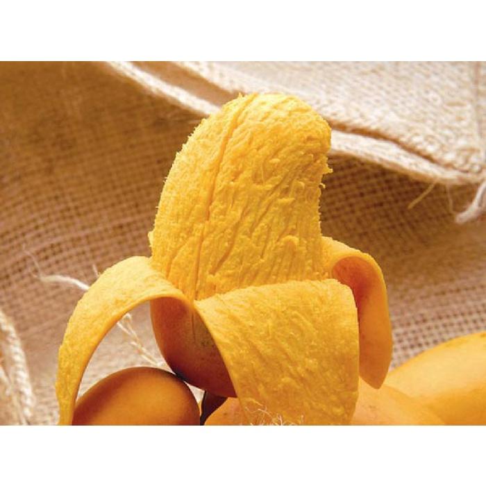 Cây giống Xoài Thanh Ca trồng chậu được.