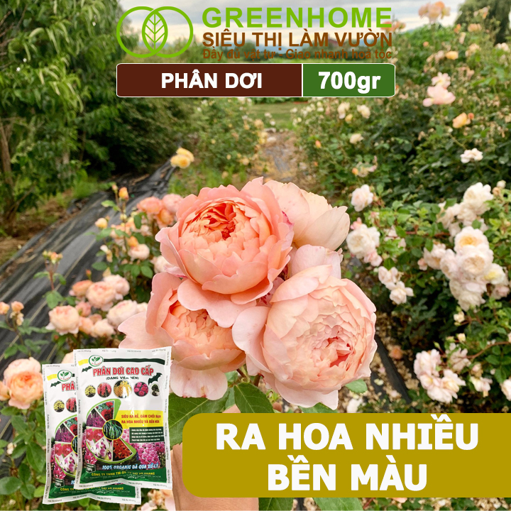 Phân Dơi Greenhome, Bao 700gr, Viên Nén, Đã Qua Xử Lý, Ra Rễ Mạnh, Hoa Nhiều, Tốt Cho Lan, Kiểng, Rau, Cây Ăn Trái