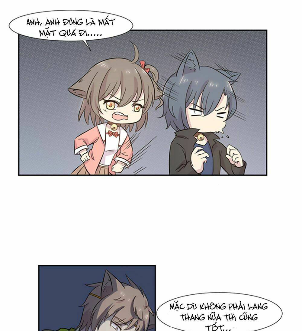 hai chú mèo totem chapter 23 18