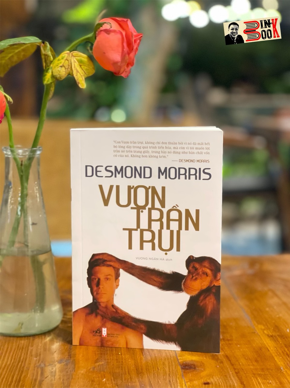 VƯỢN TRẦN TRỤI – Desmond Morris – Vương Ngân Hà dịch – Nhã Nam – NXB Hội nhà văn