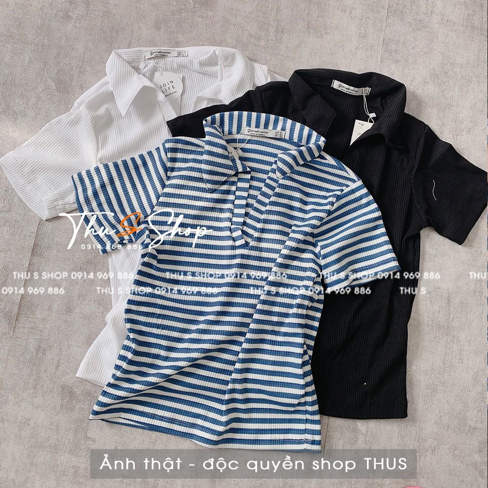 Áo thun Polo nữ có cổ chất len tăm co dãn bassic cực đẹp