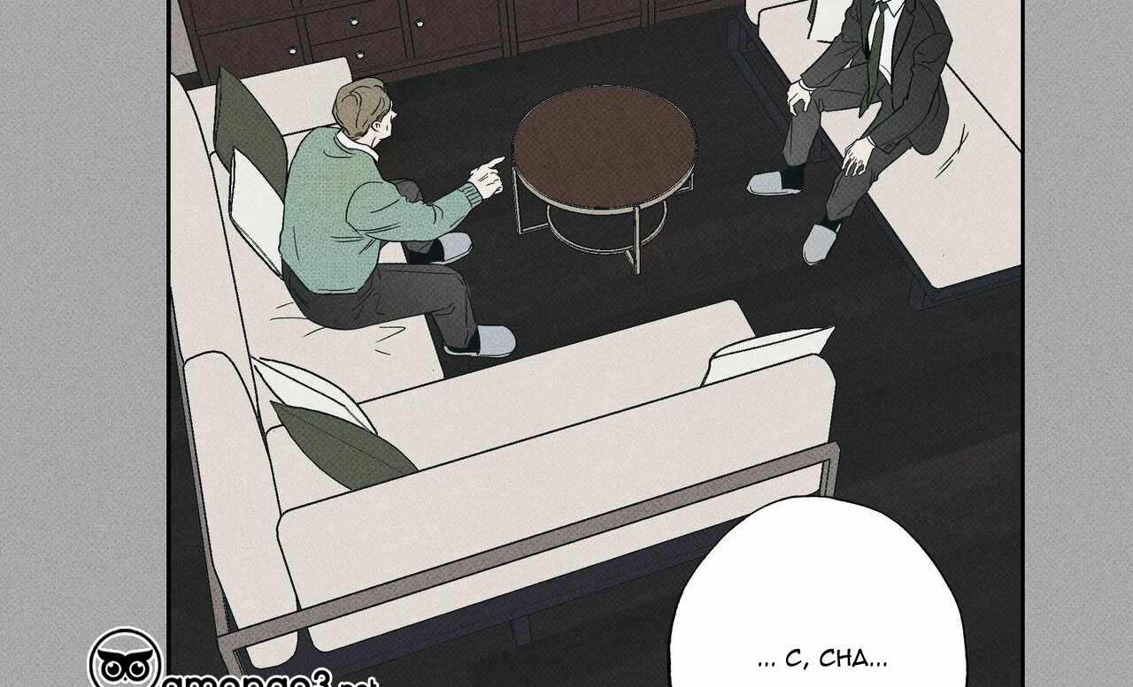 chàng giao pizza và gold palace chapter 35 51